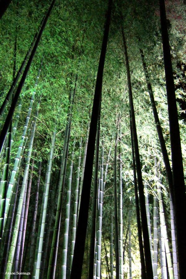 Kyoto Home Higashikujo ภายนอก รูปภาพ