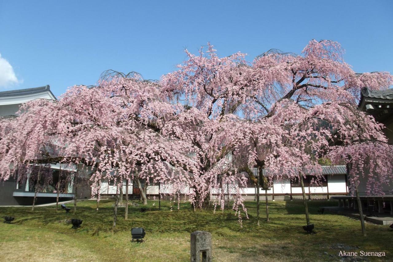 Kyoto Home Higashikujo ภายนอก รูปภาพ